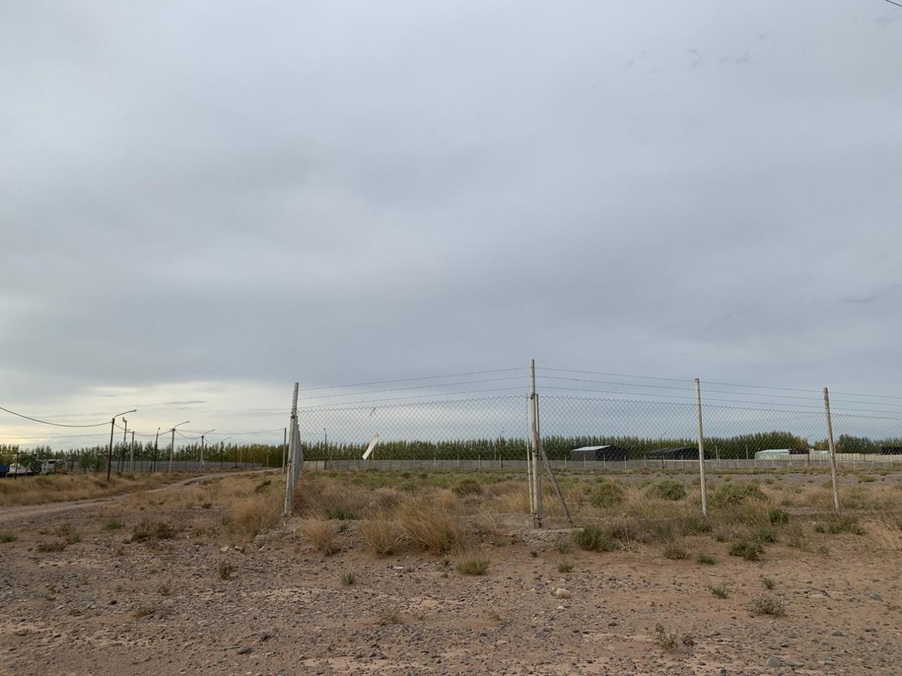 Venta Terreno en PARQUE INDUSTRIAL CENTENARIO - NEUQUEN