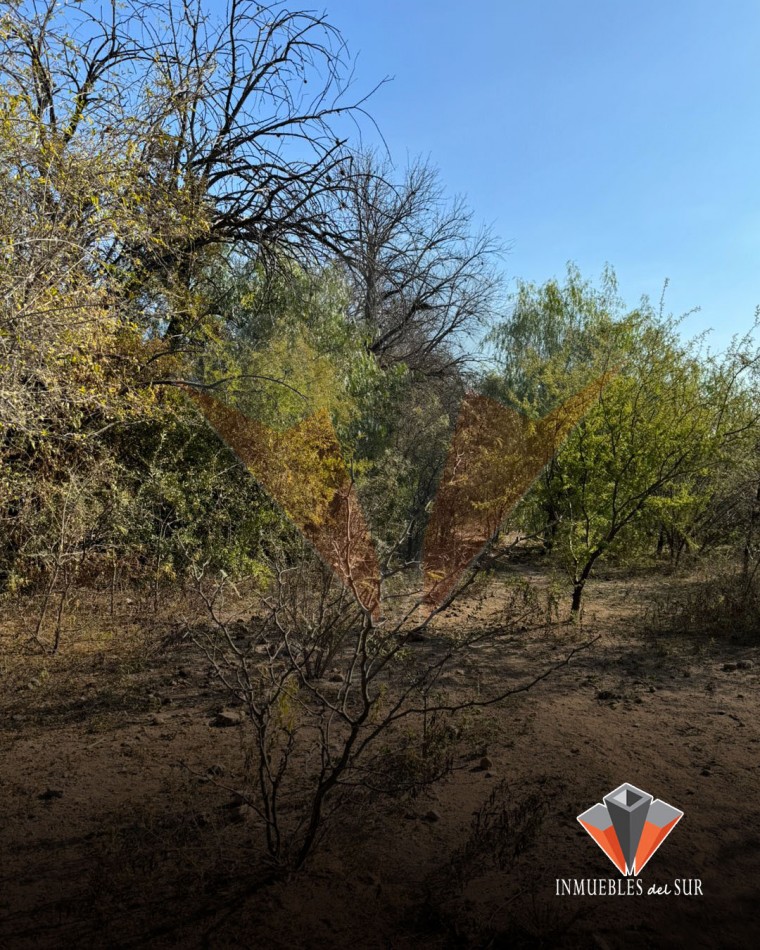 EXCELENTE OPORTUNIDAD DE INVERSION EN CORDOBA 