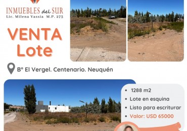 Lote en Venta en Barrio El Vergel. Centenario. Neuquen