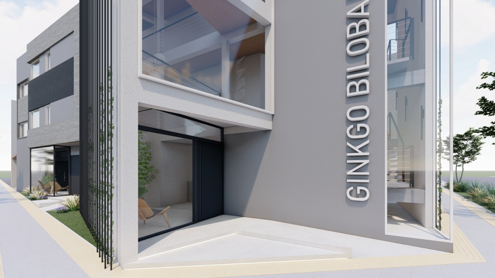 NUEVO DESARROLLO: GINGKO BILOBA